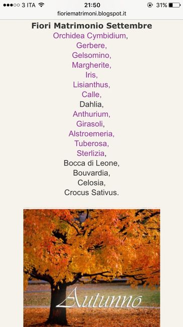 Colore del matrimonio - 1