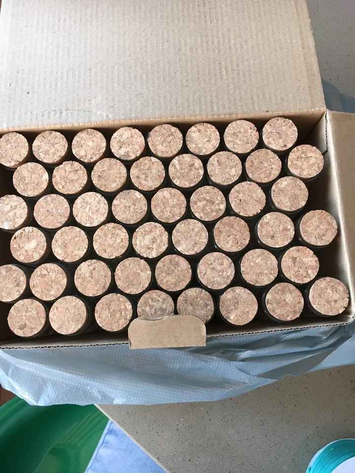 Anche questa è fatta! - 2