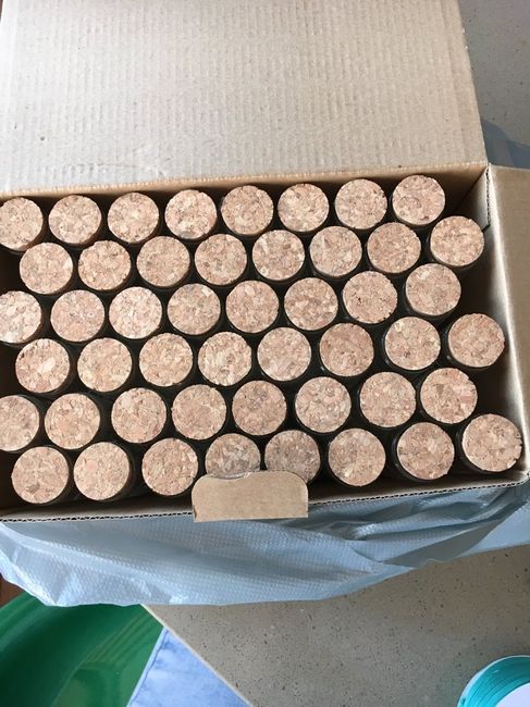 Anche questa è fatta! - 2