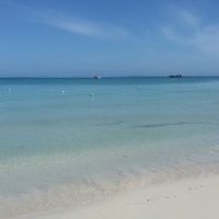 Viaggio di nozze in giamaica - 1