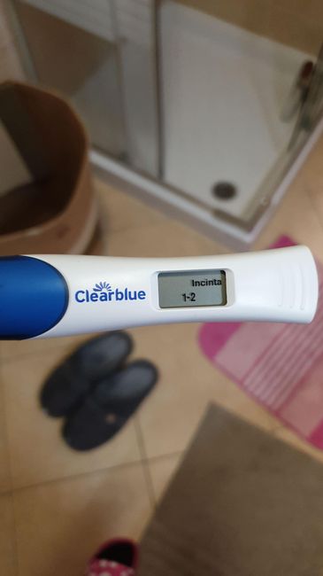 Chi non le aspetta per Novembre  2020 🍀❤️🍀❤️🍀❤️🍀❤️🍀❤️🍀❤️🍀 - 1