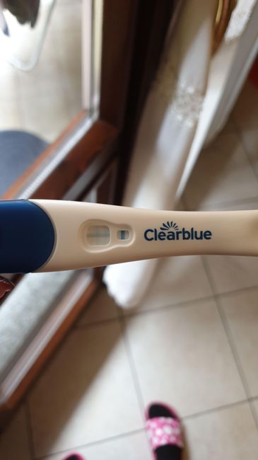 Chi non le aspetta per Novembre  2020 🍀❤️🍀❤️🍀❤️🍀❤️🍀❤️🍀❤️🍀 - 1