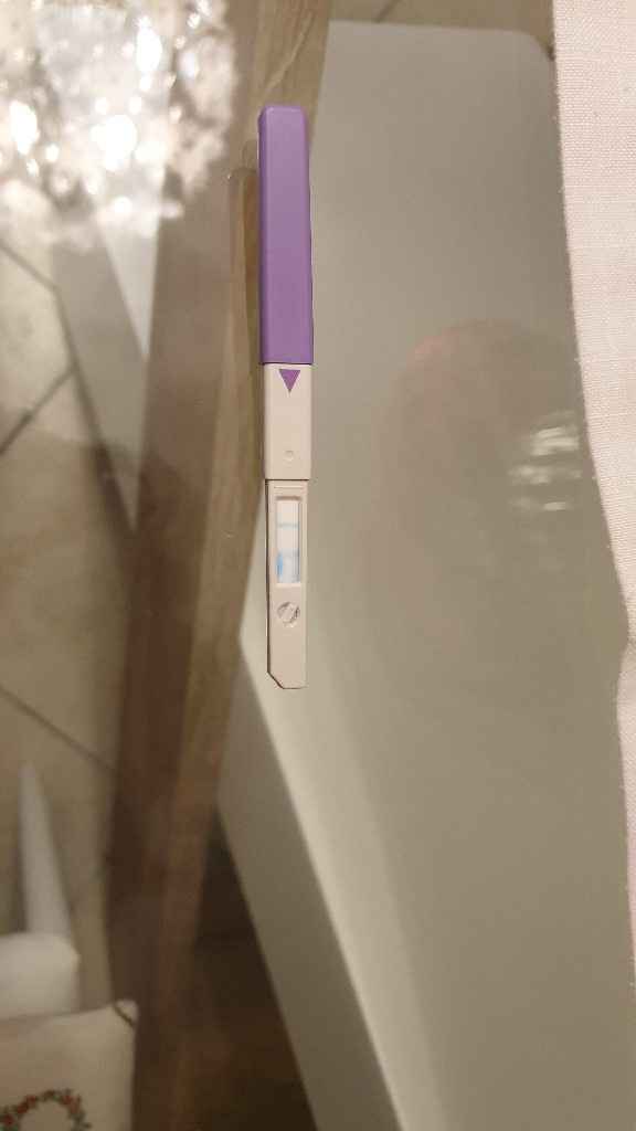 Per chi non le aspetta per febbraio 2020 - 3