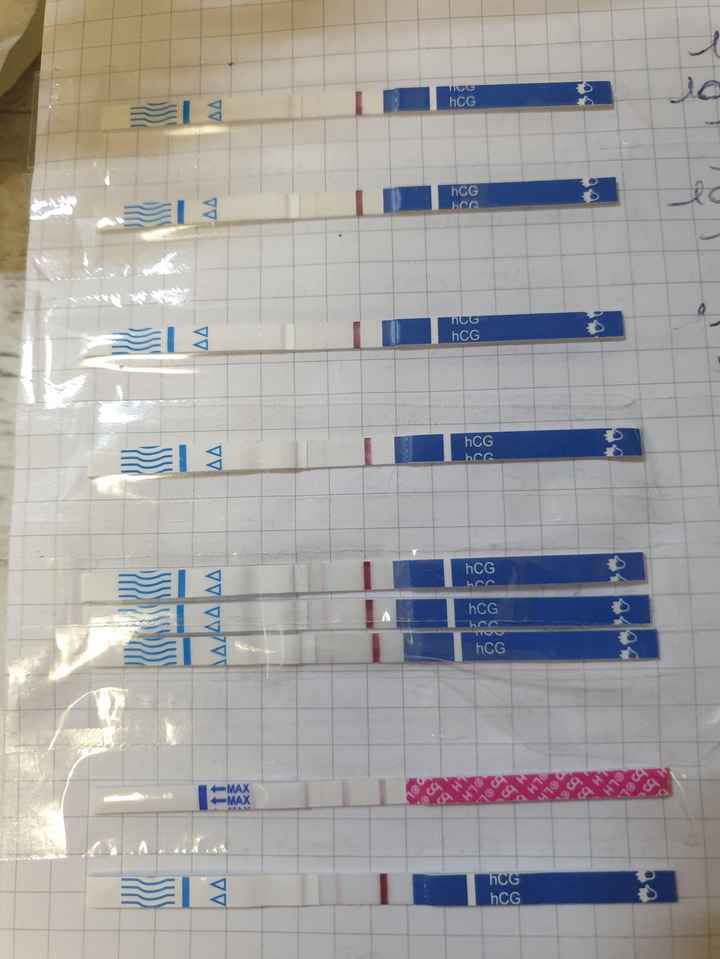 Chi non le aspetta x Gennaio 2021❤️💪🏻🤞🏻🎉🍀🍀 - 1