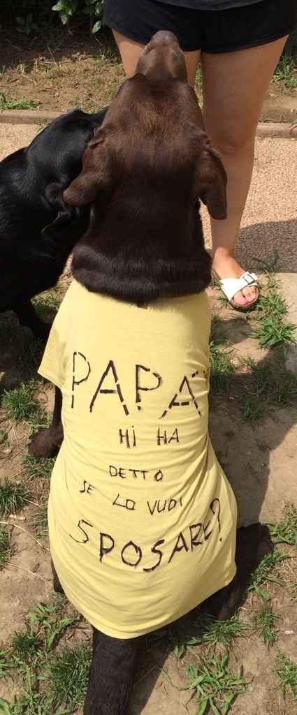 Ma a voi ha fatto la proposta?? - 1