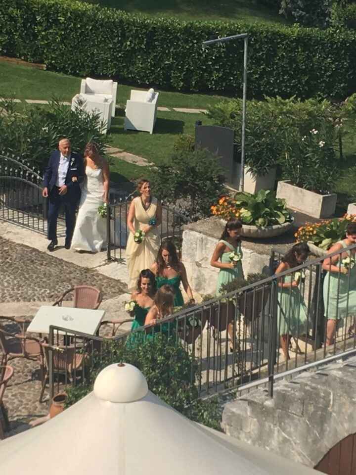 Damigelle adulte - 1