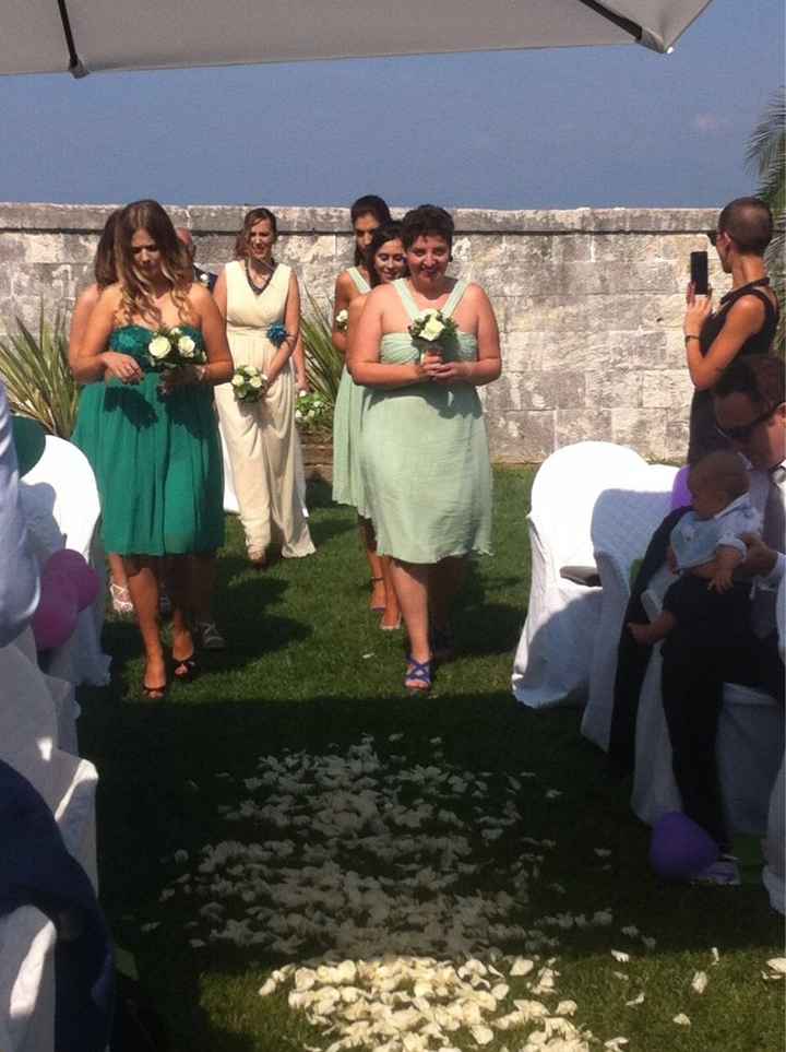 Damigelle adulte - 2