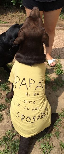 Ma a voi ha fatto la proposta?? - 1