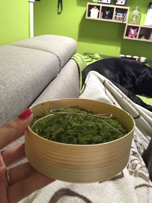 Ecco il mio porta fediiii!!! - 1