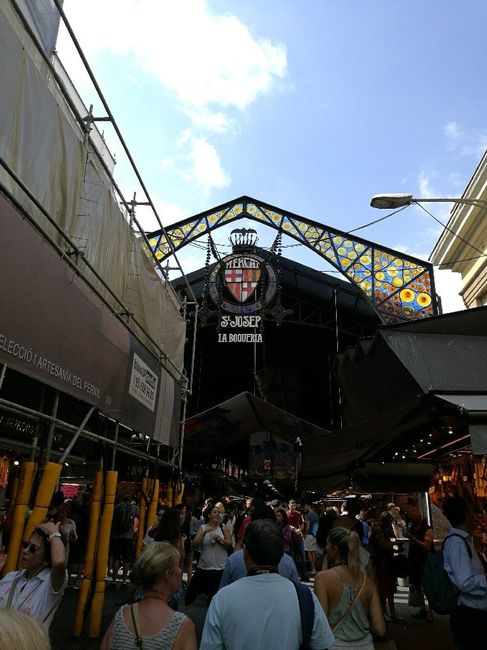  Crociera prenotata 😍😍😍😍 - 1