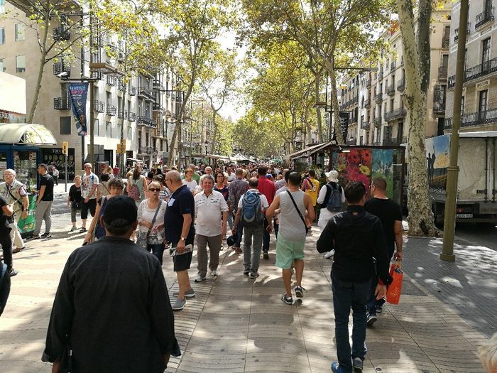  Crociera prenotata 😍😍😍😍 - 4