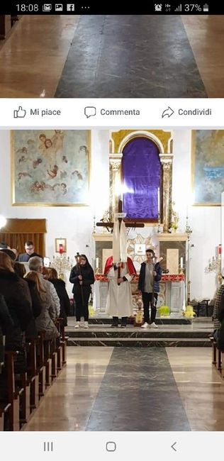 Dubbio su colore fiori - 2