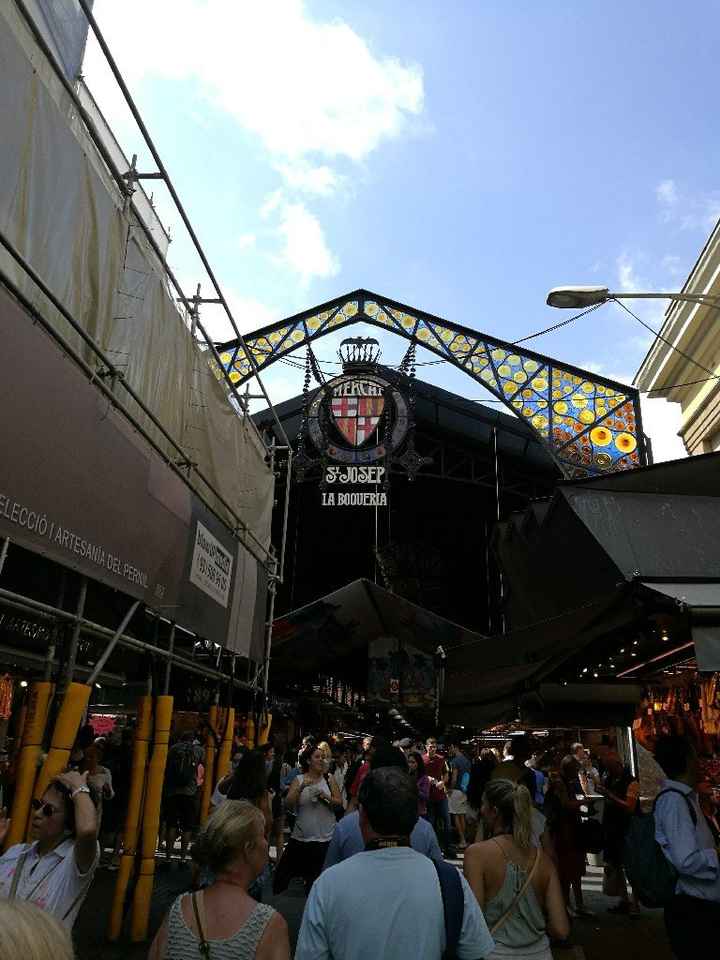  Crociera prenotata 😍😍😍😍 - 1