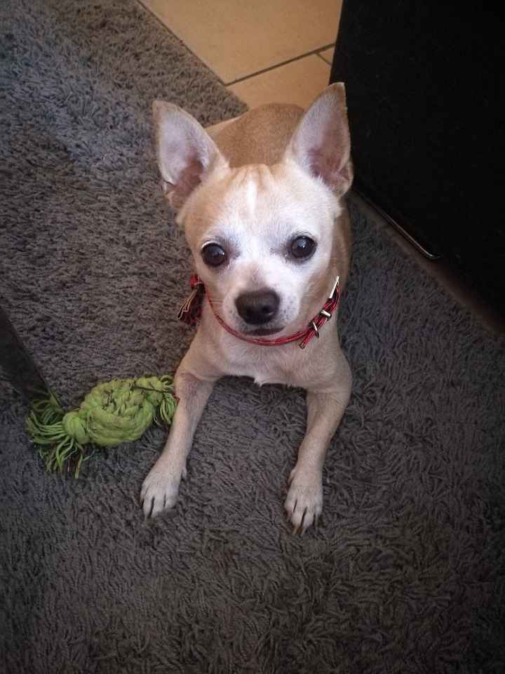  La famiglia si allarga 😂 - 1