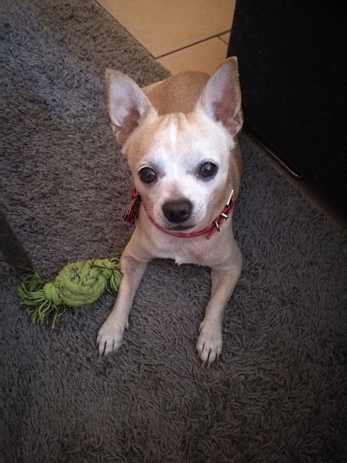  La famiglia si allarga 😂 - 1