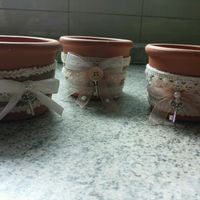 Bomboniere piantine - 2