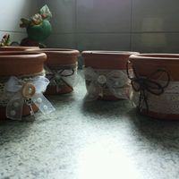 Bomboniere piantine - 4