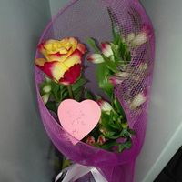 Che buongiorno stamattina - 1