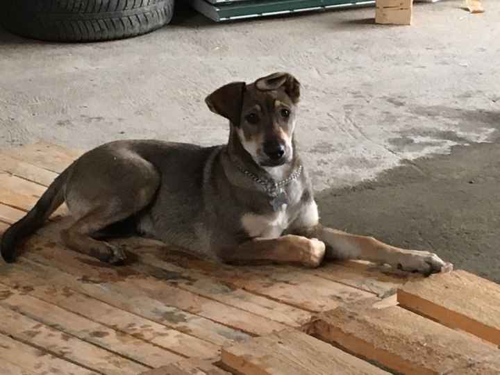 Alla fine ho vinto io! - 2