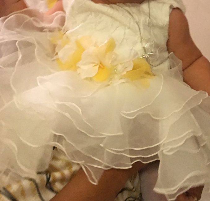 Piccole damigelle - 1