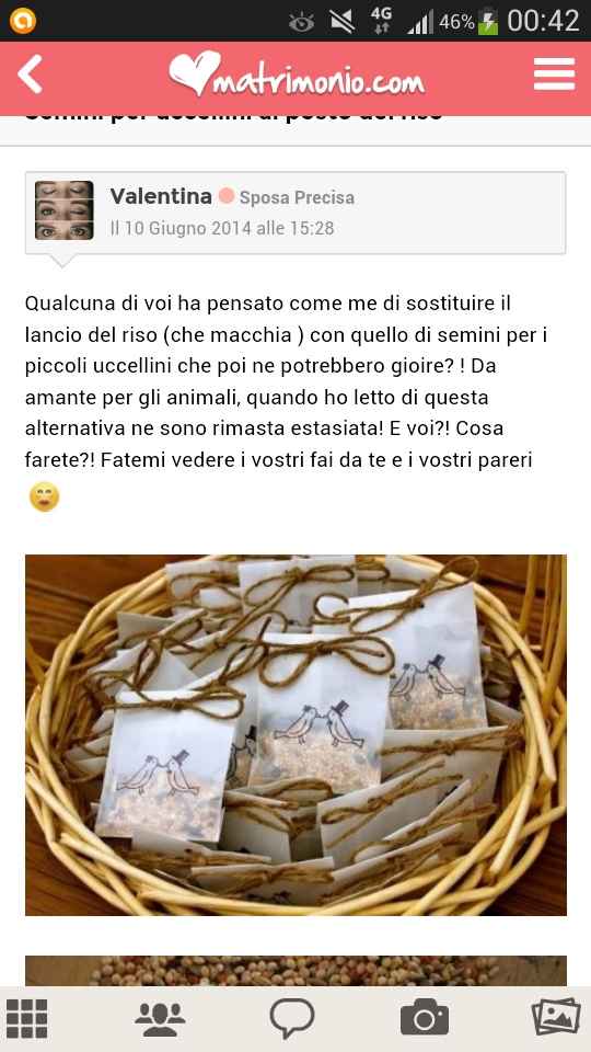 Diciamo NO al lancio del riso! - 1