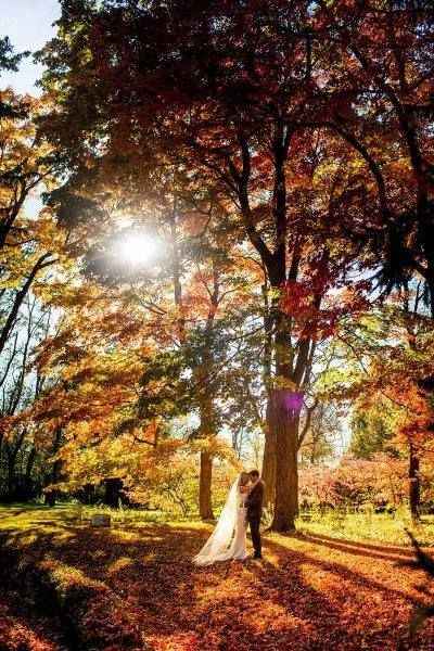 Foto con il sole autunnale