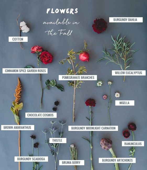 Fiori autunnali