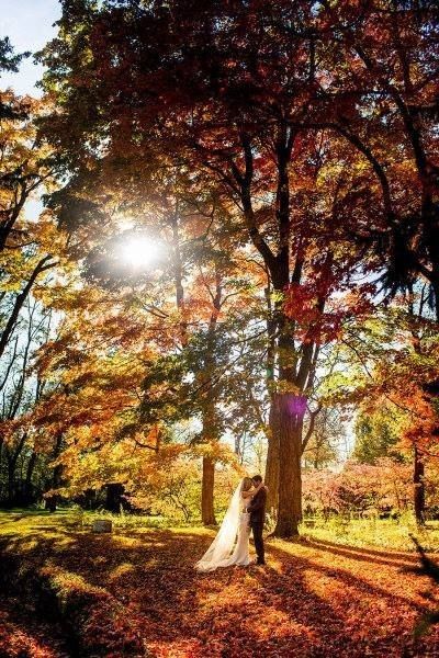 Foto con il sole autunnale