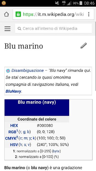 Blu notte o blu navy? - 2