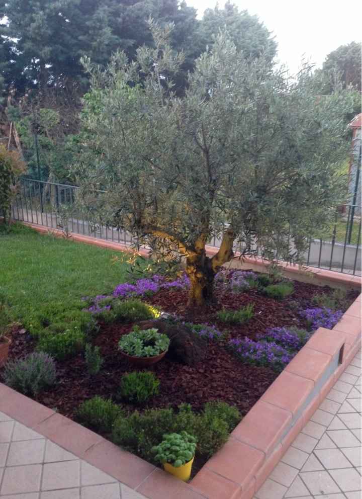 Domenica di giardinaggio - 1