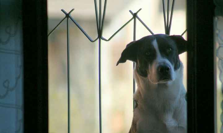 La mia "porta fedi" - 1