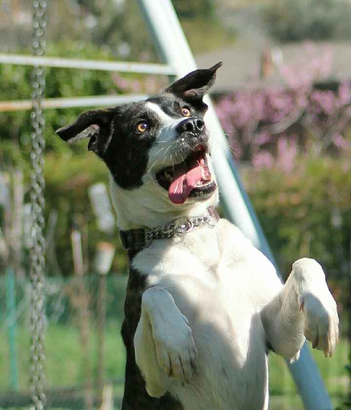 La mia "porta fedi" - 2