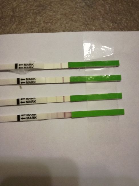 Foto test canadesi 3