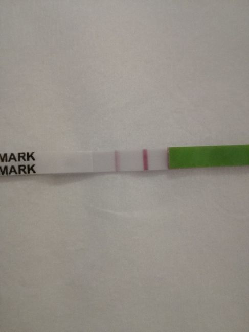 Ancora niente ciclo.. - 1