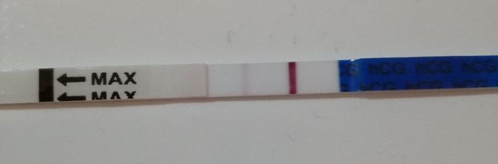 Febbraio 2019 - le aspiranti future mamme - 1