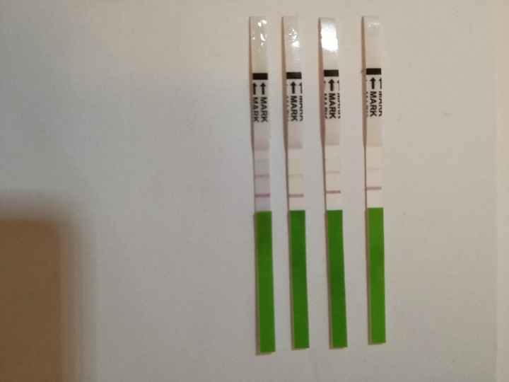 a chi spera che dicembre sia il mese giusto - 1