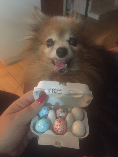 Bomboniere: almeno i confetti ci sono 😂 8