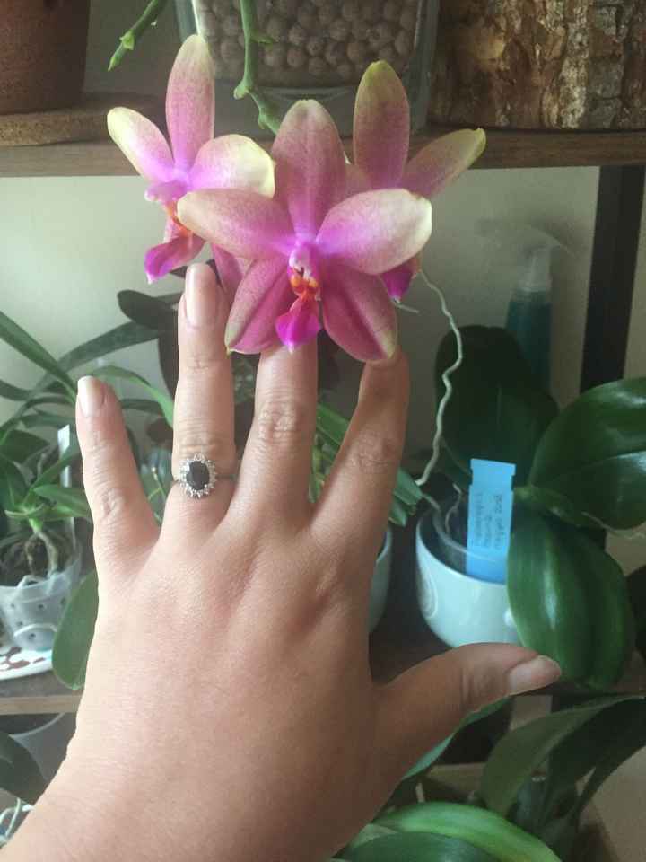 Anello di fidanzamento 💍 - 1