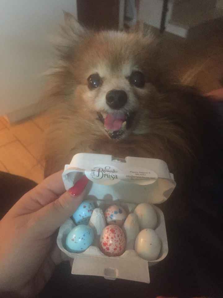 Bomboniere: almeno i confetti ci sono 😂 - 1