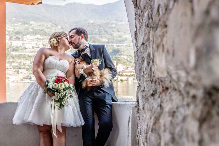 i nostri amici animali - 1