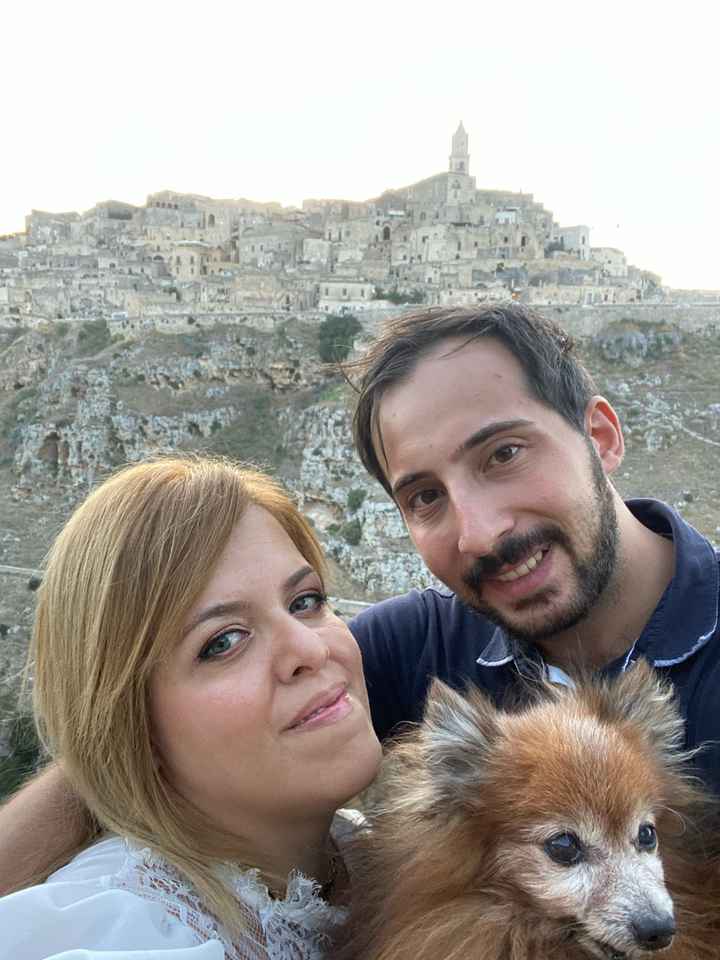 Amici a 4 zampe: come li gestirete il grande giorno? - 2