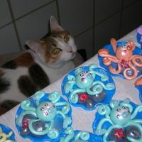 Qui gatta ci cova!!!