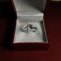 Il vostro anello di fidanzamento? 