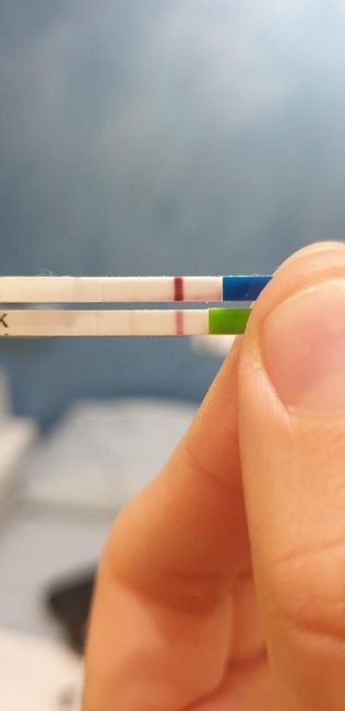 Chi non le aspetta per settembre 🍀🤞 - 1