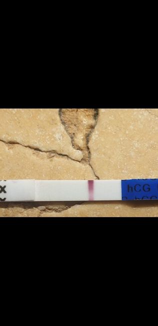 Chi non le aspetta per Aprile 2020 - 1