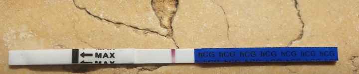 Chi non le aspetta per Aprile 2020 - 1