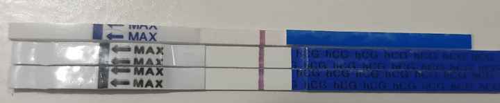 Test canadese sottile e spesso😏 - 1