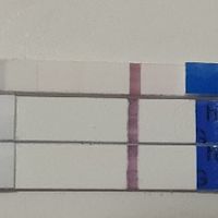 Test canadese sottile e spesso😏 - 1