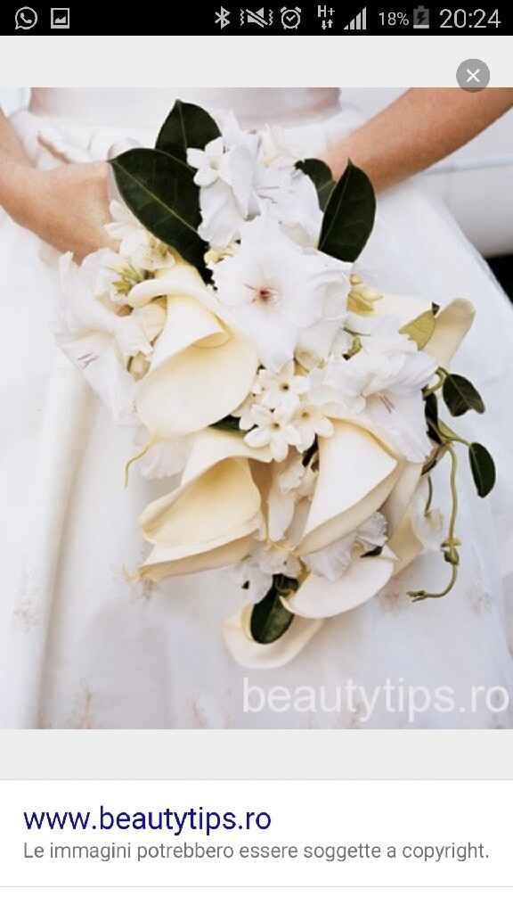 Bouquet sposa: mi aiutate a sceglierlo? - 1