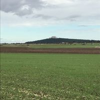 Quando hai ricevuto la proposta? - 1